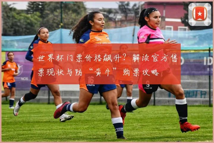 世界杯门票价格飙升？解读官方售票现状与防“黄牛”购票攻略