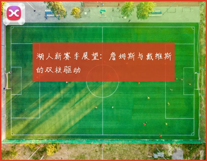 湖人新赛季展望:詹姆斯与戴维斯的双核驱动